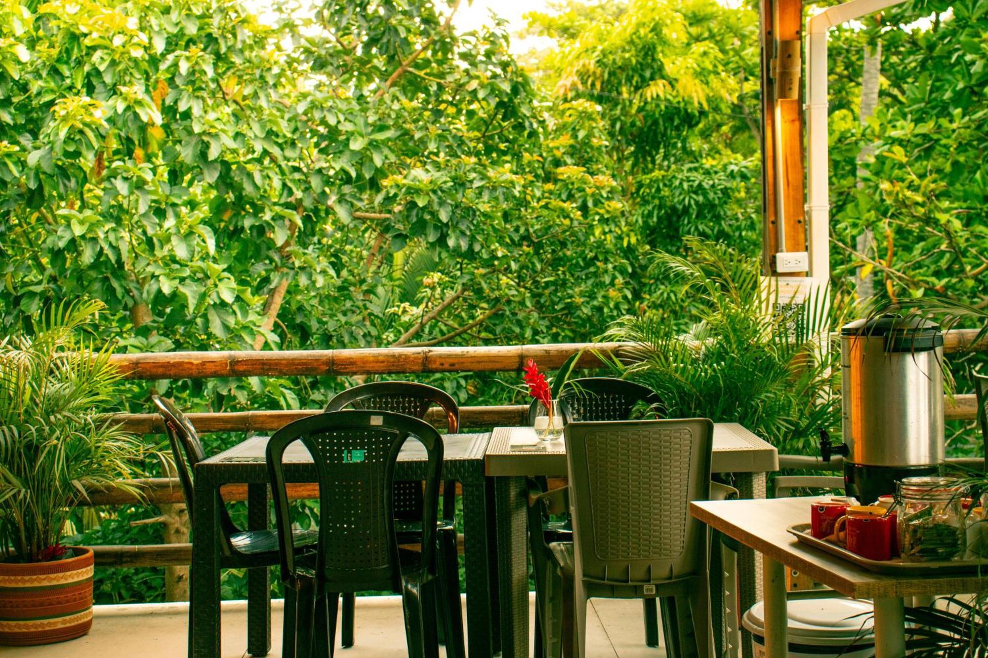 Tayrona Juancho'S House Hostel & Coworking Лос-Наранхос Экстерьер фото