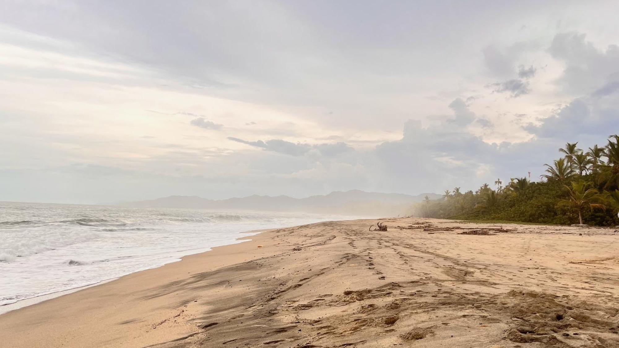 Tayrona Juancho'S House Hostel & Coworking Лос-Наранхос Экстерьер фото